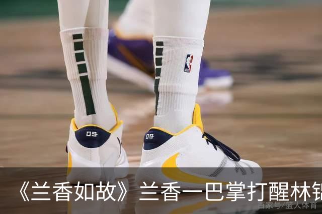 《兰香如故》兰香一巴掌打醒林锦岐！才懂她为何能空手救回蕺儿